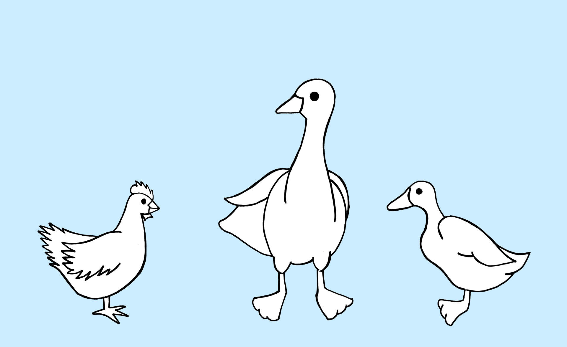 Zeichnung von Huhn, Ente und Gans