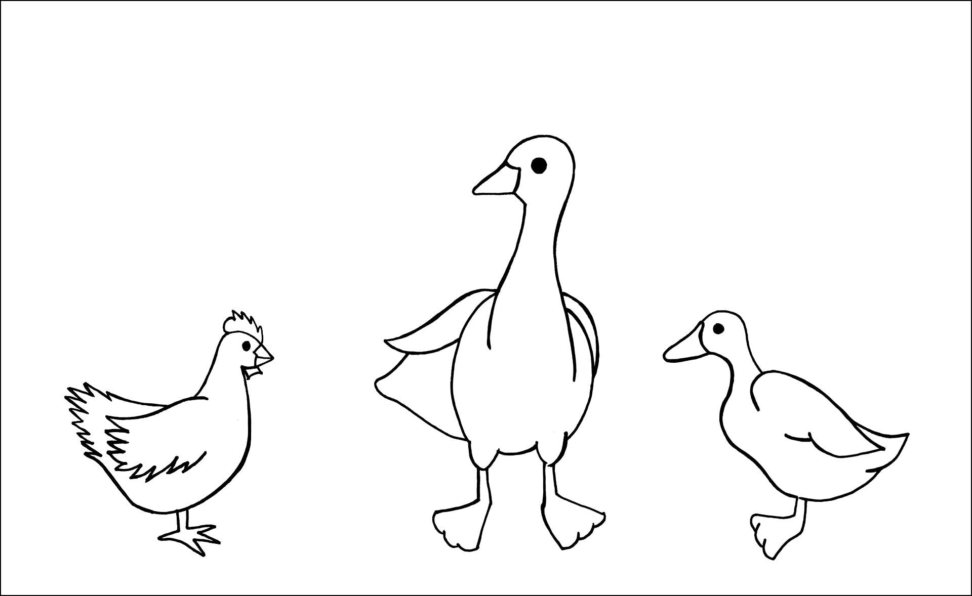 Zeichnung von Huhn, Ente und Gans